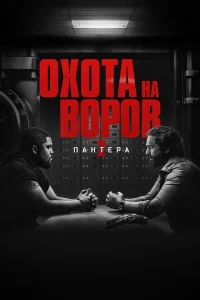  Охота на воров 2: Пантера  - главный постер