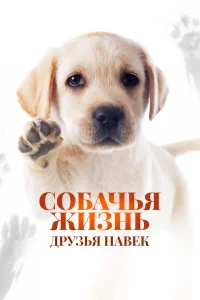  Собачья жизнь: Друзья навек  - главный постер